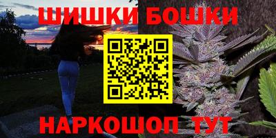 соль ск Новозыбков