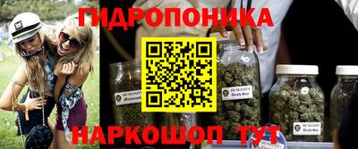 соль ск Новозыбков